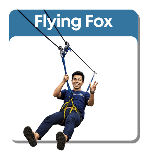 Flying fox K